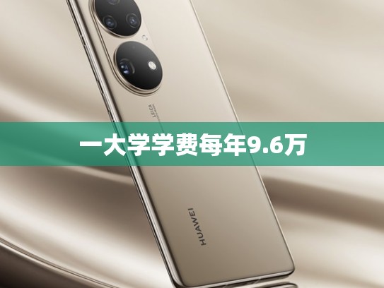 一大学学费每年9.6万