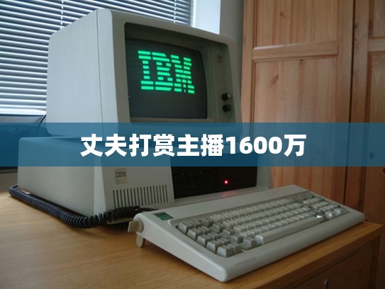 丈夫打赏主播1600万