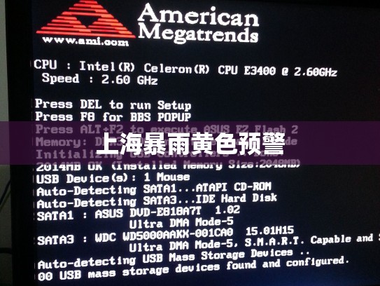 上海暴雨黄色预警