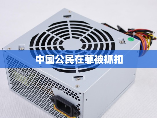 中国公民在菲被抓扣