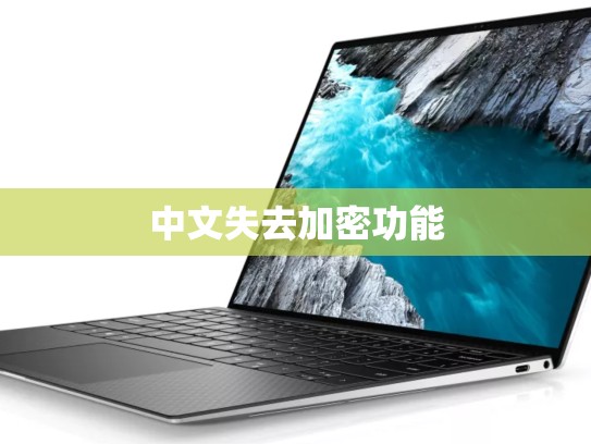 中文失去加密功能