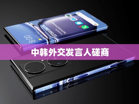 中韩外交发言人磋商