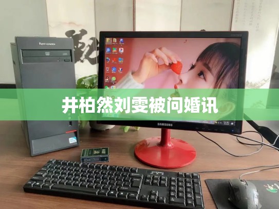 井柏然刘雯被问婚讯
