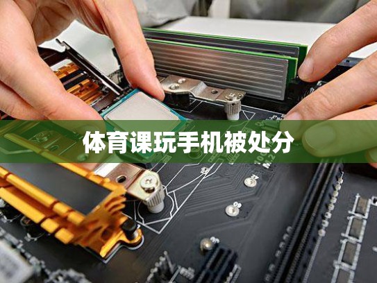 体育课玩手机被处分