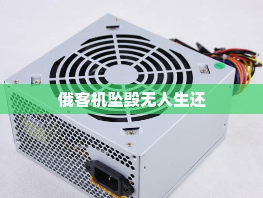 俄客机坠毁无人生还