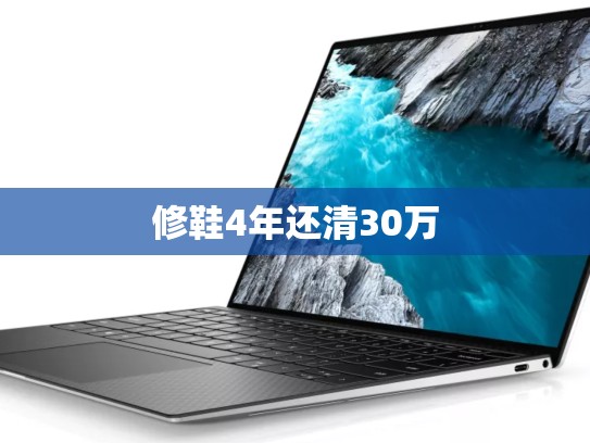 修鞋4年还清30万