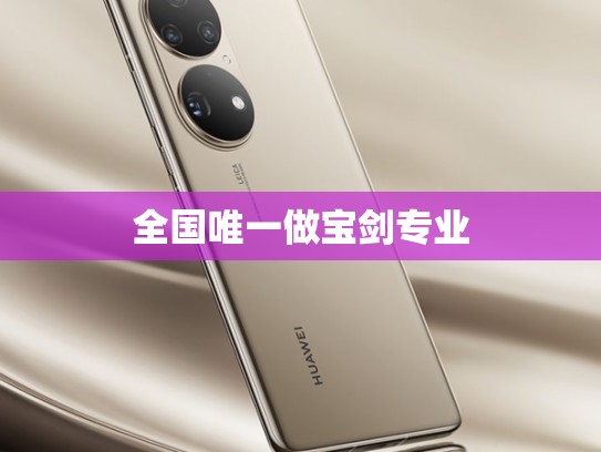 全国唯一做宝剑专业