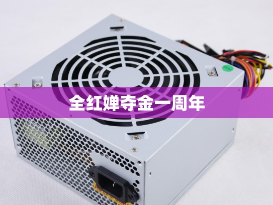 全红婵夺金一周年