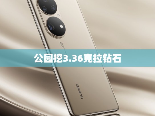 公园挖3.36克拉钻石