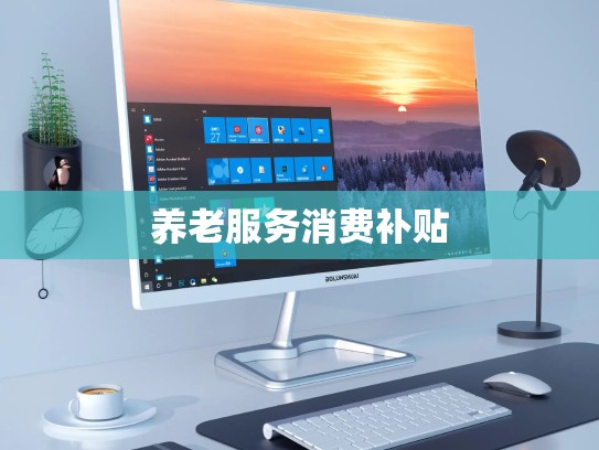 养老服务消费补贴