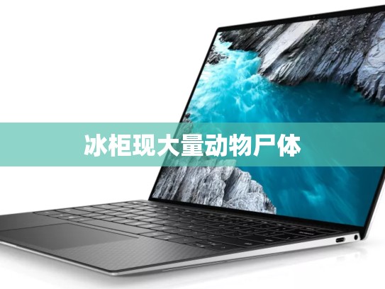 冰柜现大量动物尸体
