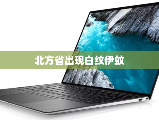 北方省出现白纹伊蚊