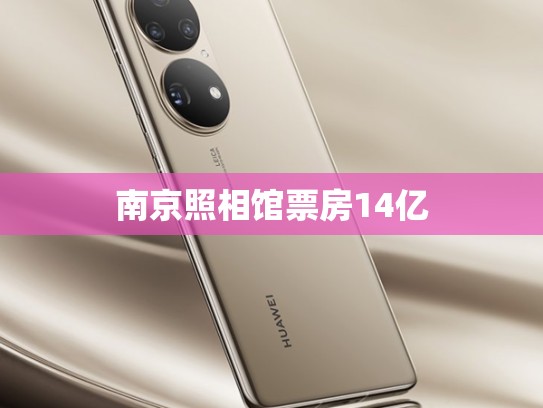 南京照相馆票房14亿