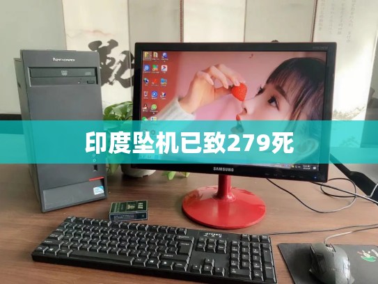 印度坠机已致279死