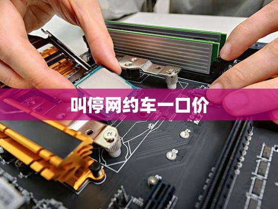 叫停网约车一口价