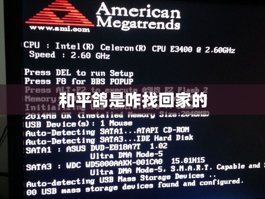 和平鸽是咋找回家的