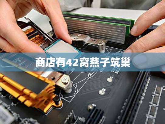商店有42窝燕子筑巢