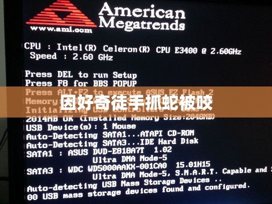 因好奇徒手抓蛇被咬