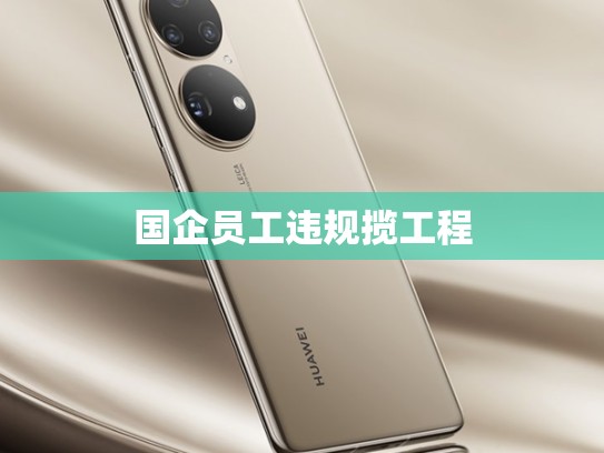 国企员工违规揽工程