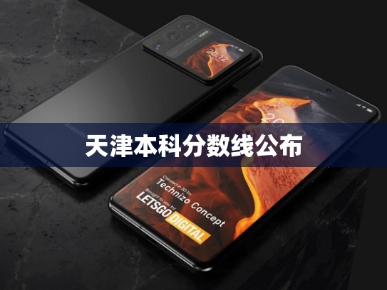 天津本科分数线公布
