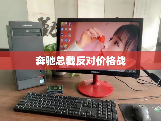 奔驰总裁反对价格战