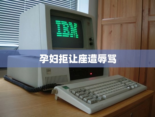 孕妇拒让座遭辱骂