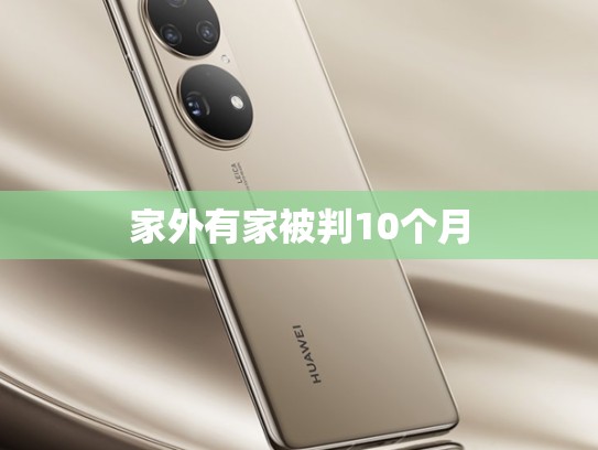家外有家被判10个月