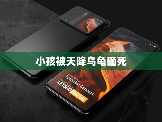 小孩被天降乌龟砸死
