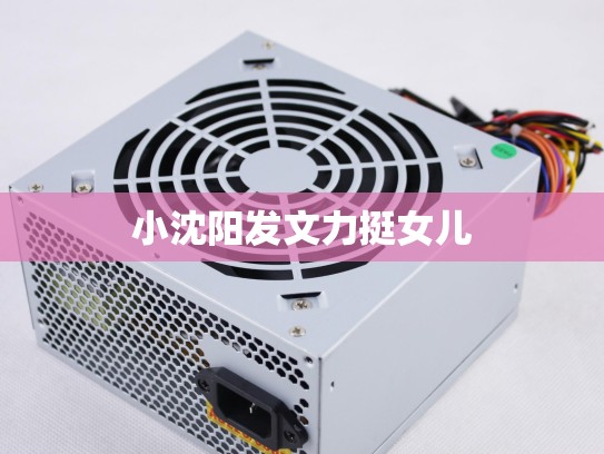 小沈阳发文力挺女儿