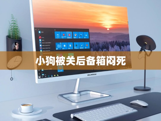 小狗被关后备箱闷死
