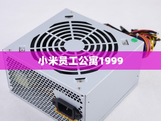小米员工公寓1999