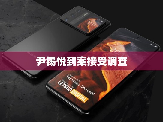 尹锡悦到案接受调查