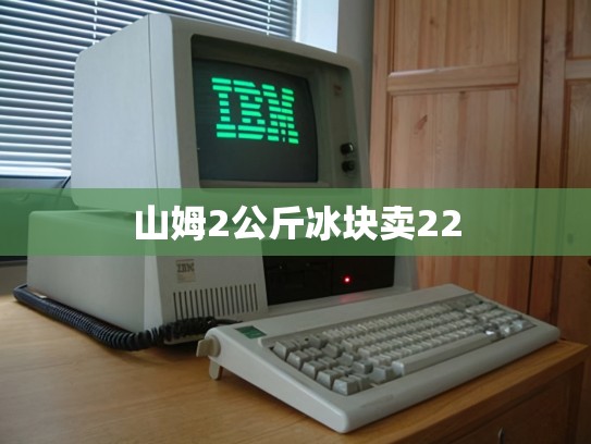 山姆2公斤冰块卖22