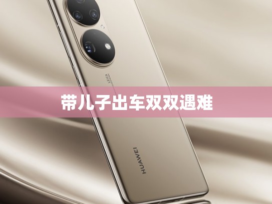 带儿子出车双双遇难