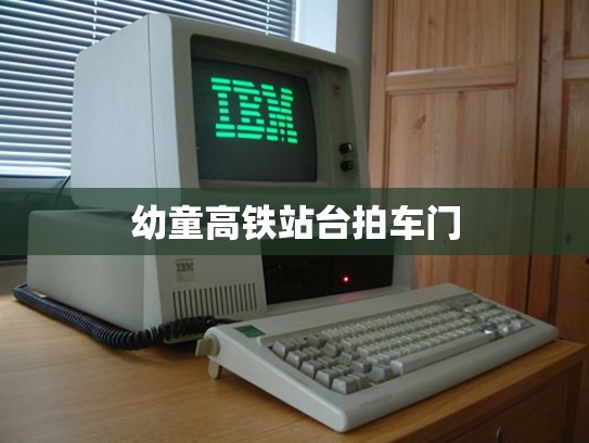 幼童高铁站台拍车门