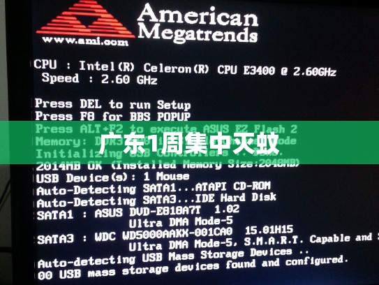 广东1周集中灭蚊