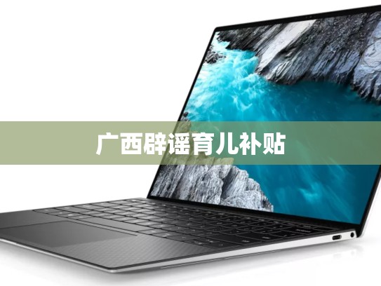 广西辟谣育儿补贴