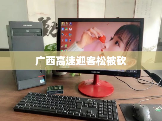 广西高速迎客松被砍