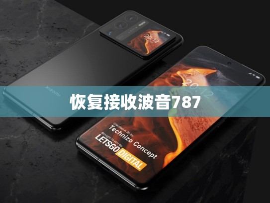 恢复接收波音787