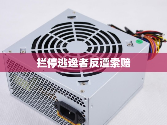 拦停逃逸者反遭索赔