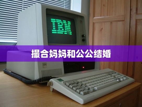 撮合妈妈和公公结婚