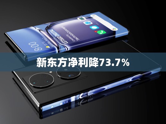 新东方净利降73.7%