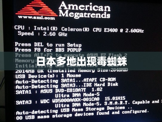 日本多地出现毒蜘蛛