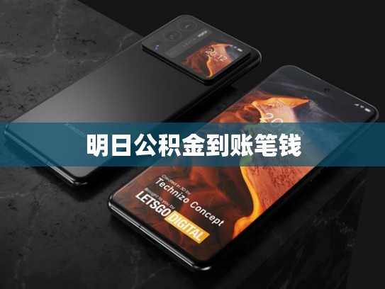 明日公积金到账笔钱