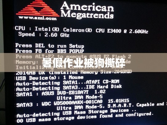 暑假作业被狗撕碎