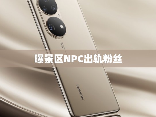 曝景区NPC出轨粉丝