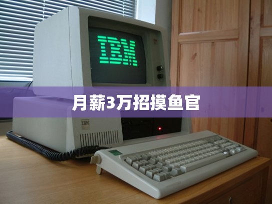 月薪3万招摸鱼官