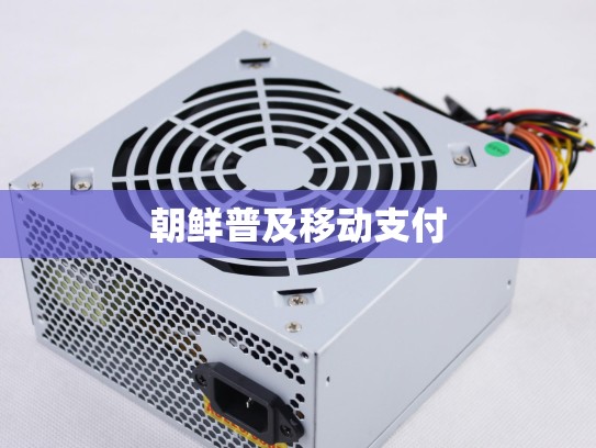 朝鲜普及移动支付