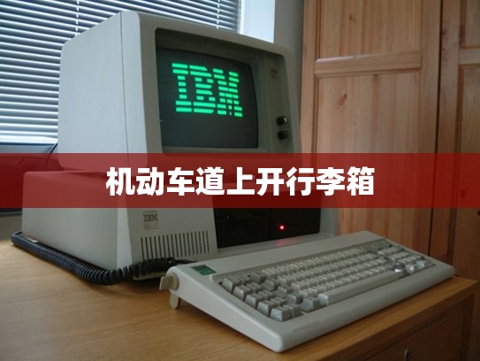 机动车道上开行李箱