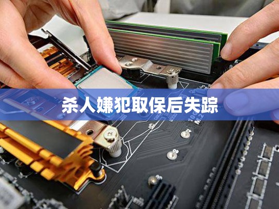 杀人嫌犯取保后失踪